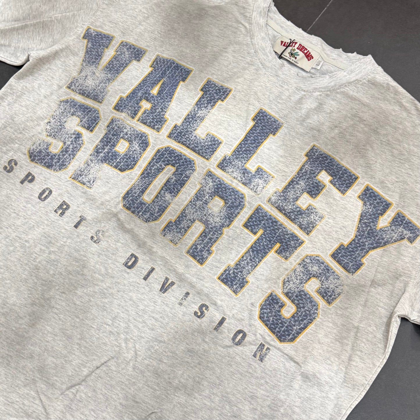 Vale Forever Sport Division Tee - Grey