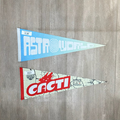 Travis Scott Banderin